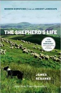 The Shepherds life cover
